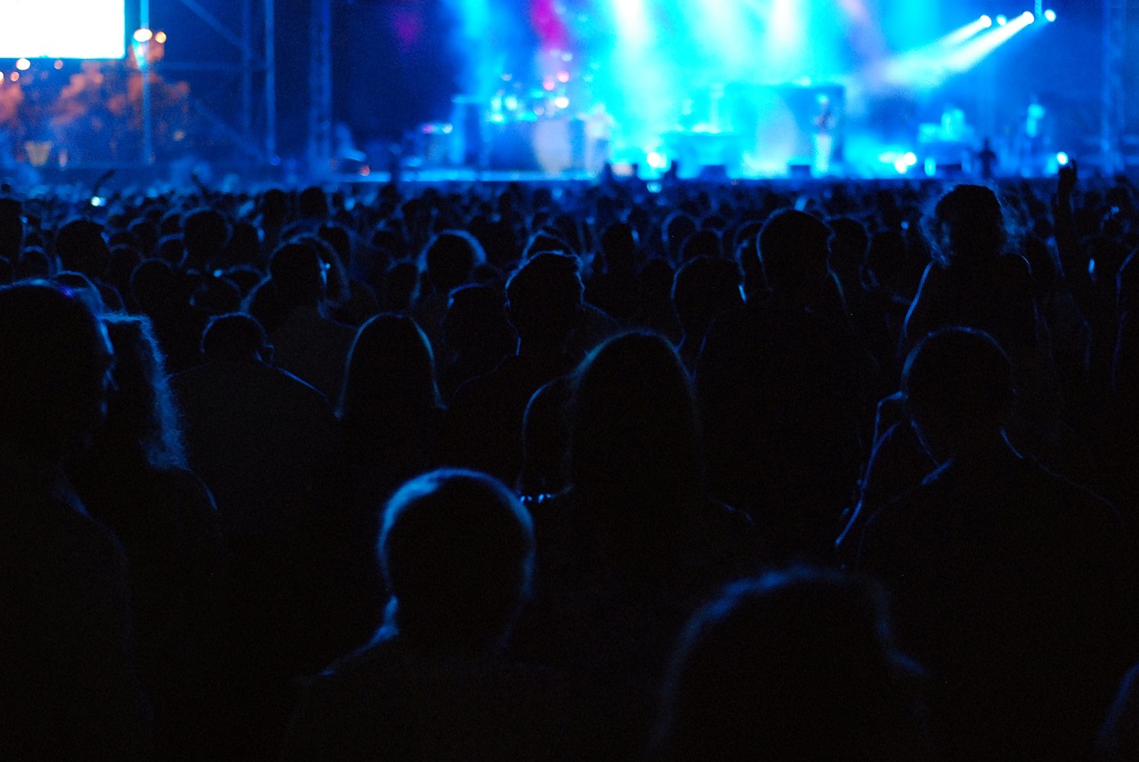 audience, concert, crowd-1845231.jpg