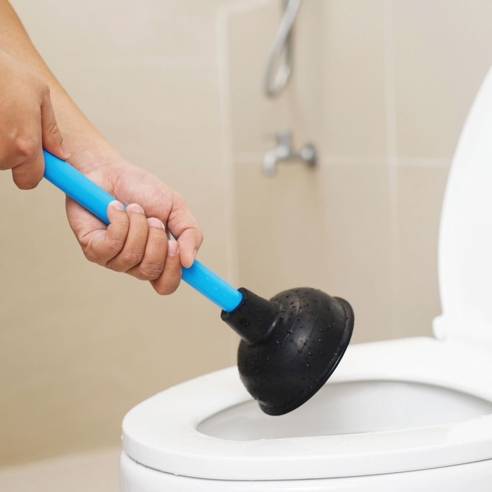 ANTP - WC bouché Jarrie - débouchage canalisation